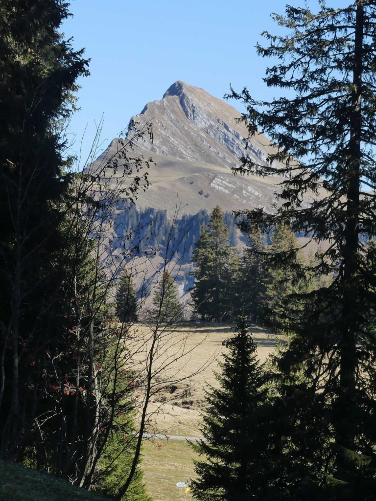 jor-col-de-soladier-plan-de-chatel-sonloup-169