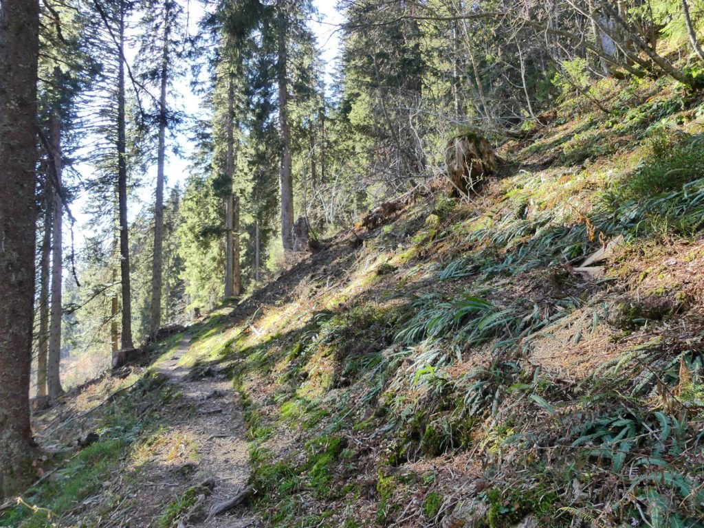 jor-col-de-soladier-plan-de-chatel-sonloup-179