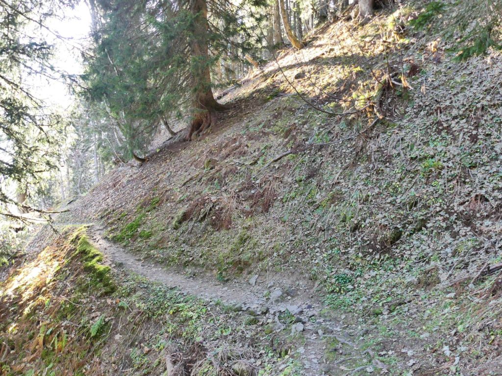 jor-col-de-soladier-plan-de-chatel-sonloup-180