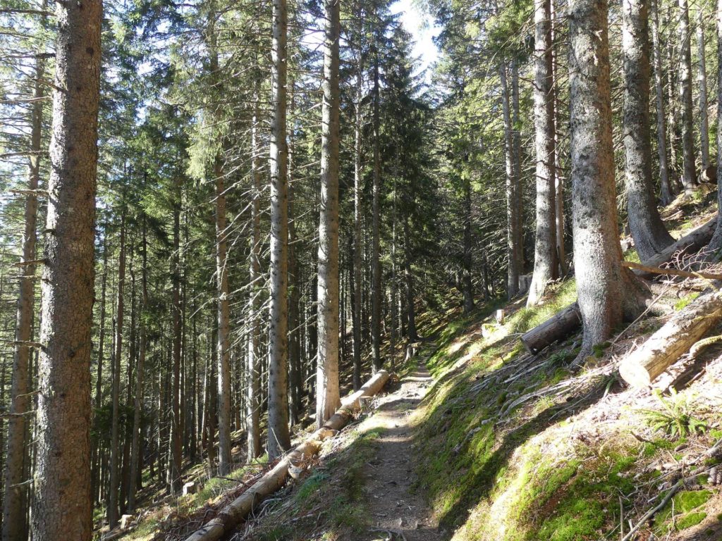 jor-col-de-soladier-plan-de-chatel-sonloup-182