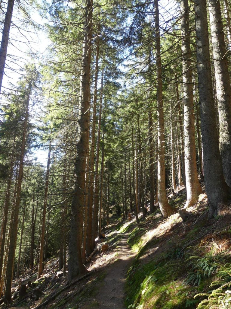 jor-col-de-soladier-plan-de-chatel-sonloup-183