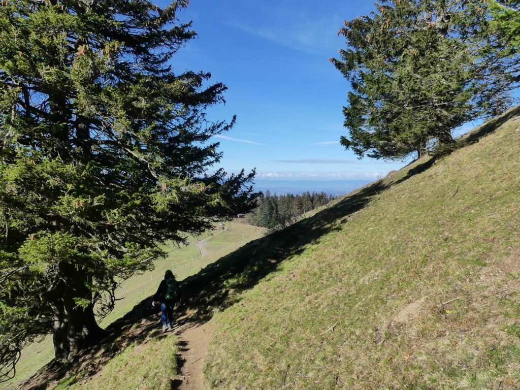 jor-col-de-soladier-plan-de-chatel-sonloup-199