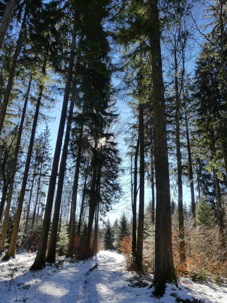 la-sapelle-froideville-106