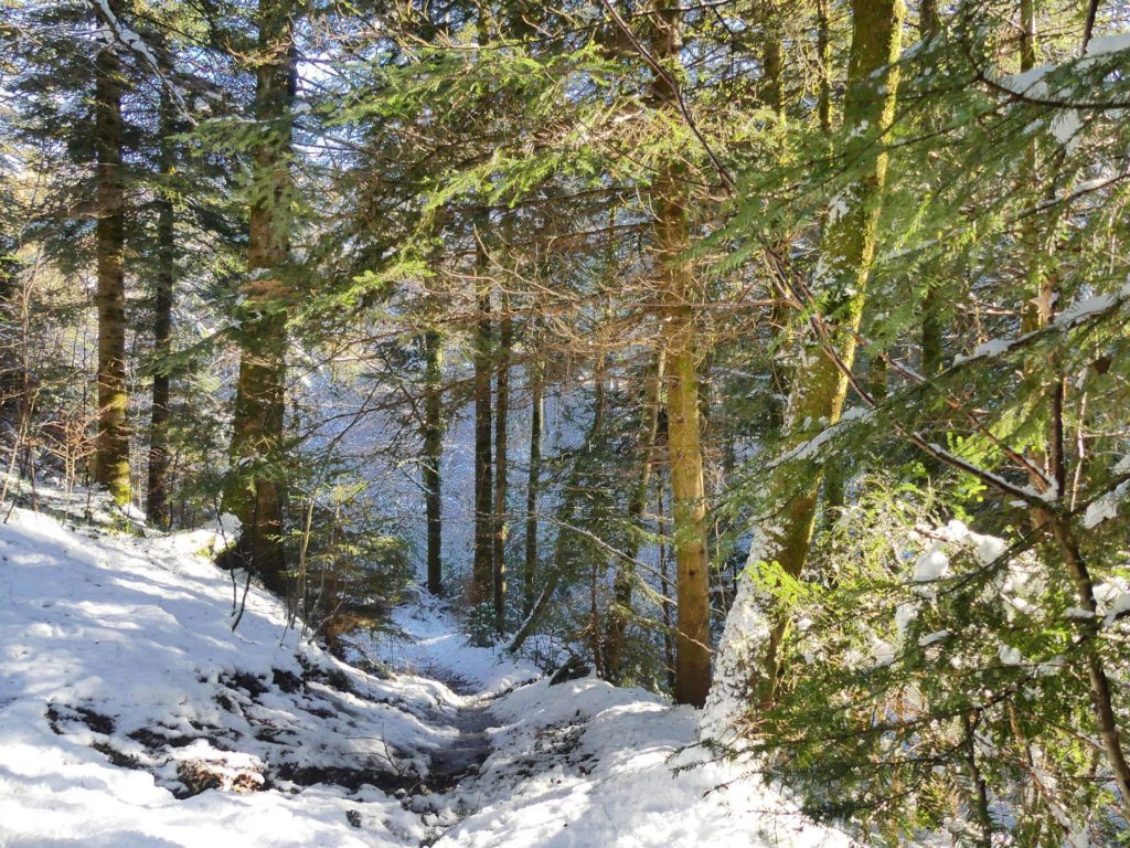 la-sapelle-froideville-109