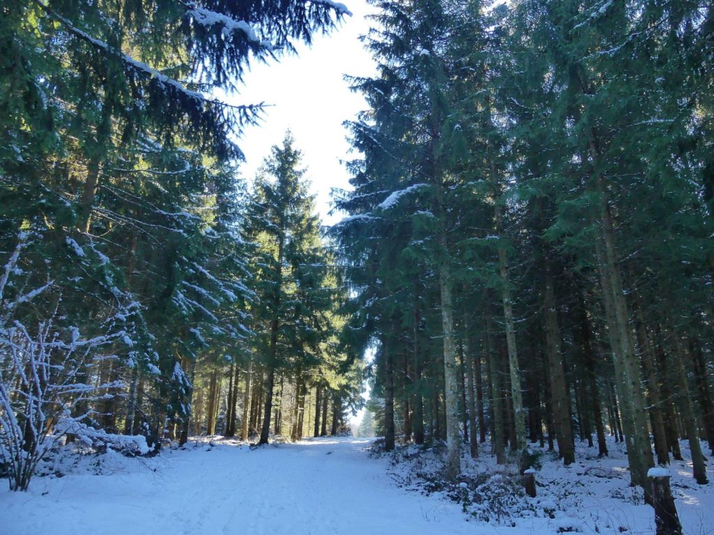 la-sapelle-froideville-116