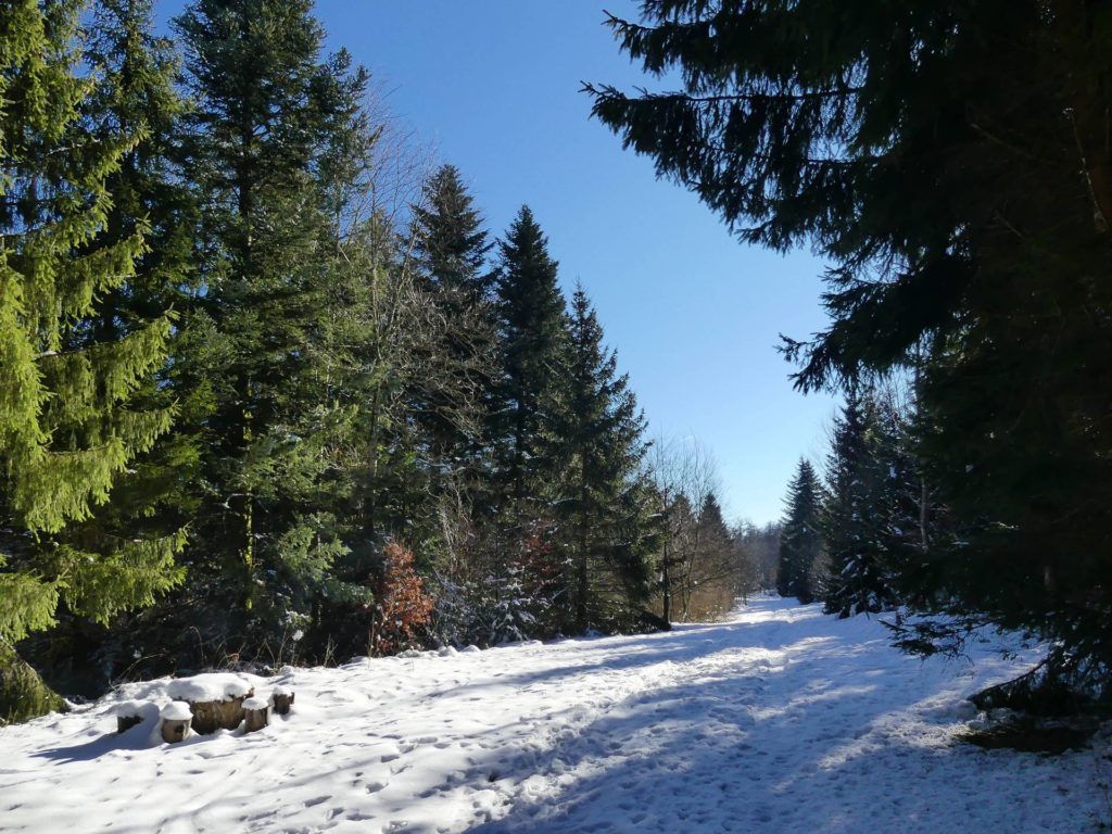 la-sapelle-froideville-117