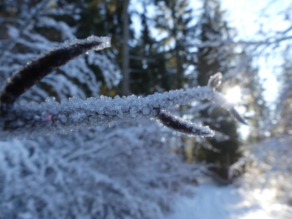 la-sapelle-froideville-128