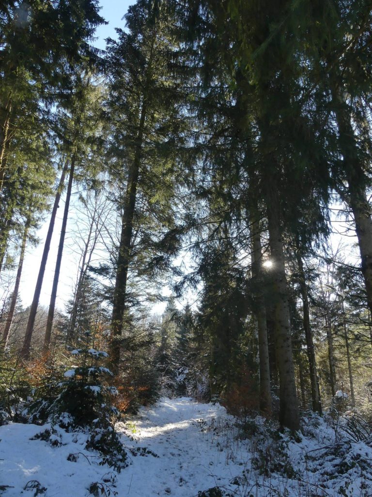 la-sapelle-froideville-129