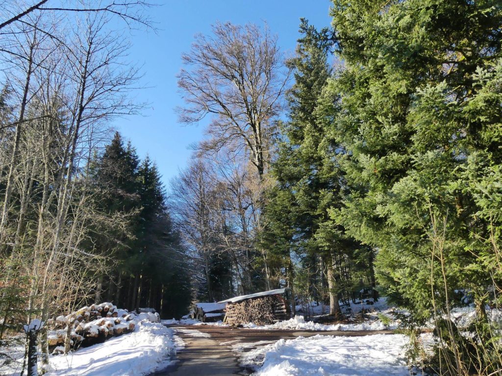 la-sapelle-froideville-146