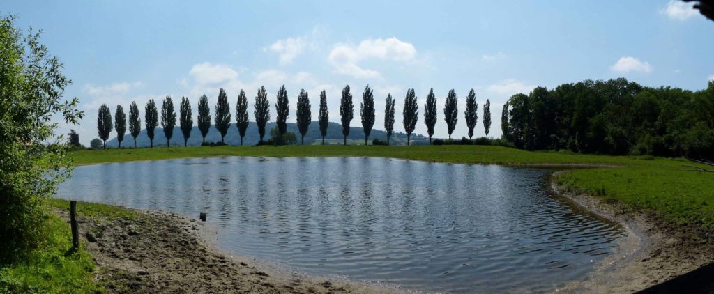 La Sauge Cudrefin Mont Vully Sugiez Morat Murten