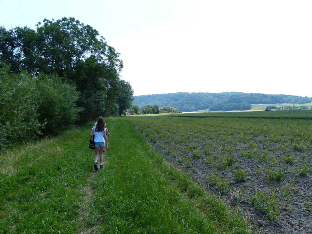 Elodie La Sauge Cudrefin Mont Vully Sugiez Morat Murten