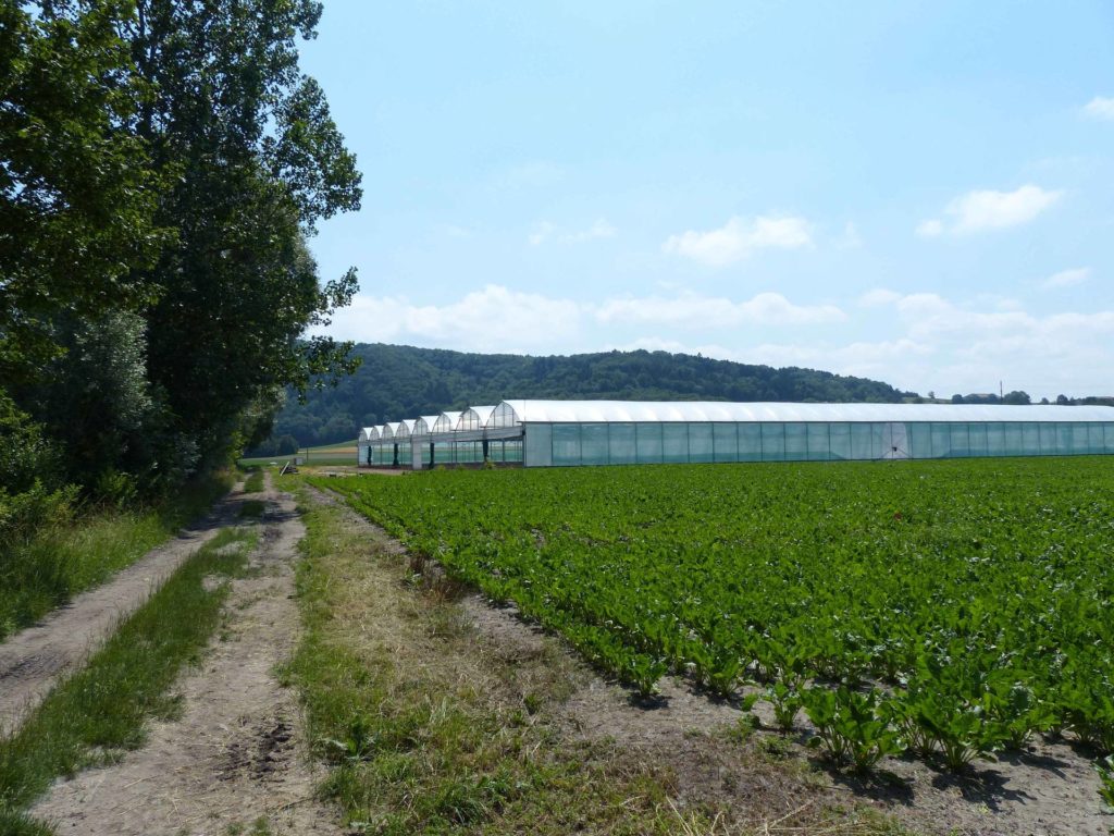 La Sauge Cudrefin Mont Vully Sugiez Morat Murten