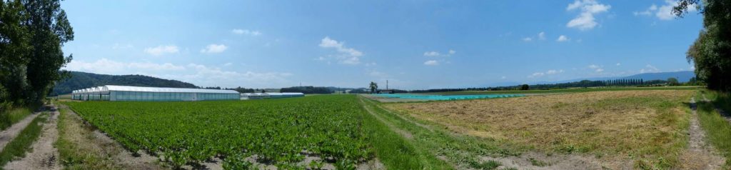 La Sauge Cudrefin Mont Vully Sugiez Morat Murten