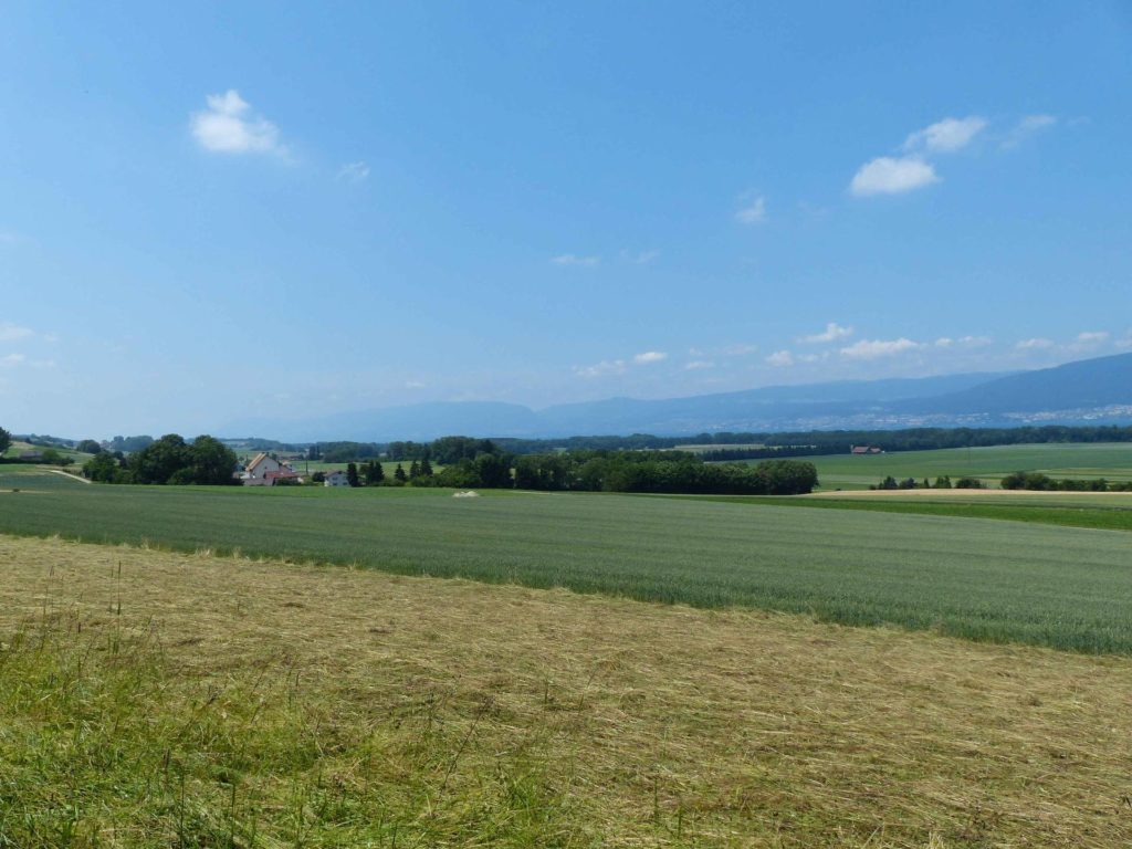 La Sauge Cudrefin Mont Vully Sugiez Morat Murten