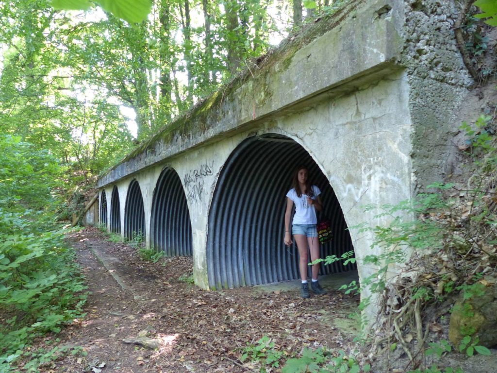 Elodie La Sauge Cudrefin Mont Vully Sugiez Morat Murten