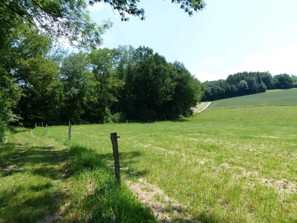 La Sauge Cudrefin Mont Vully Sugiez Morat Murten