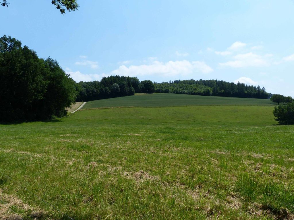 La Sauge Cudrefin Mont Vully Sugiez Morat Murten