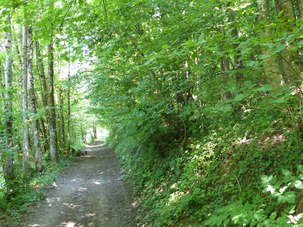 La Sauge Cudrefin Mont Vully Sugiez Morat Murten