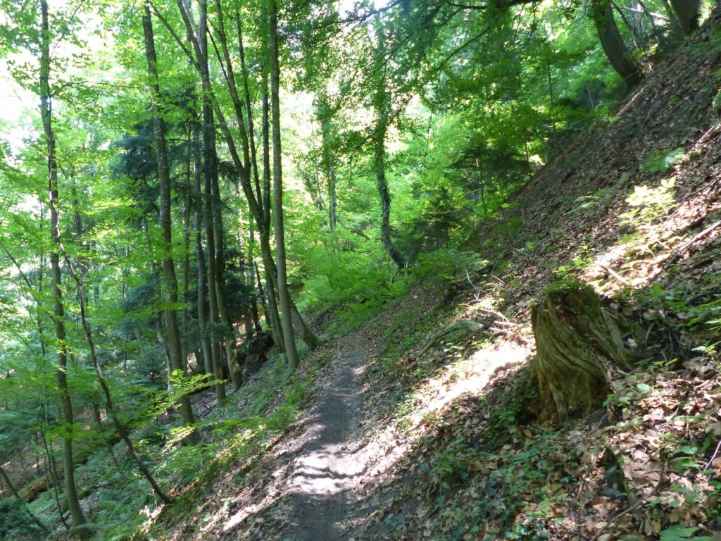 La Sauge Cudrefin Mont Vully Sugiez Morat Murten