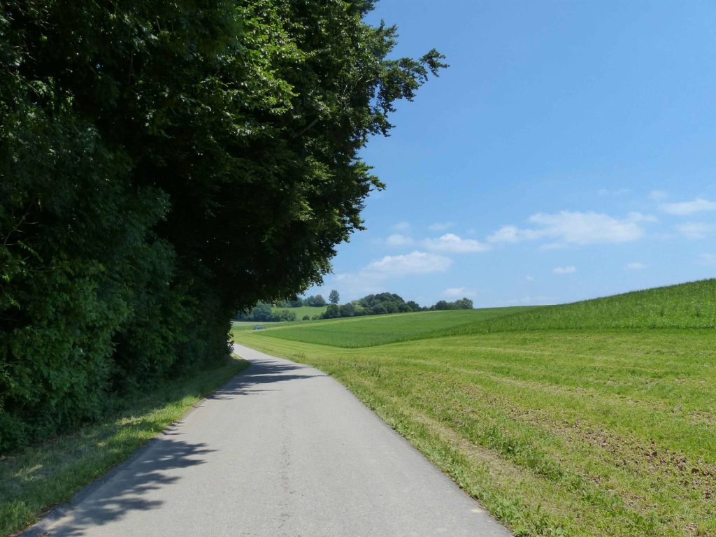 La Sauge Cudrefin Mont Vully Sugiez Morat Murten