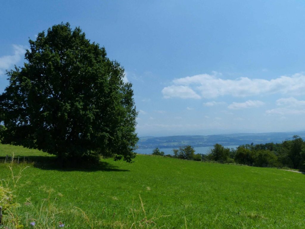 La Sauge Cudrefin Mont Vully Sugiez Morat Murten