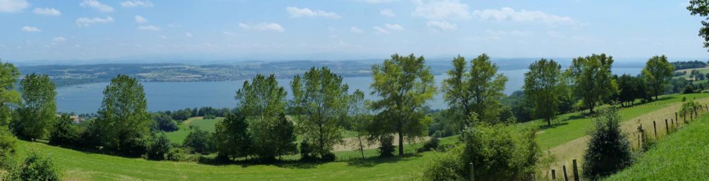 panneau La Sauge Cudrefin Mont Vully Sugiez Morat Murten