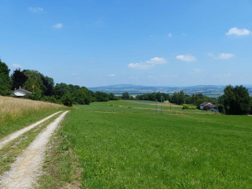 La Sauge Cudrefin Mont Vully Sugiez Morat Murten