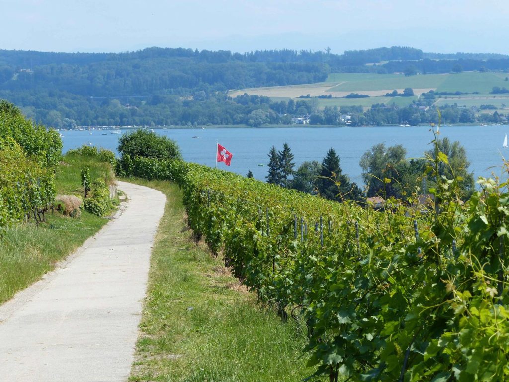 La Sauge Cudrefin Mont Vully Sugiez Morat Murten