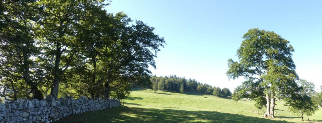 le-soliat-boudry-praz-117