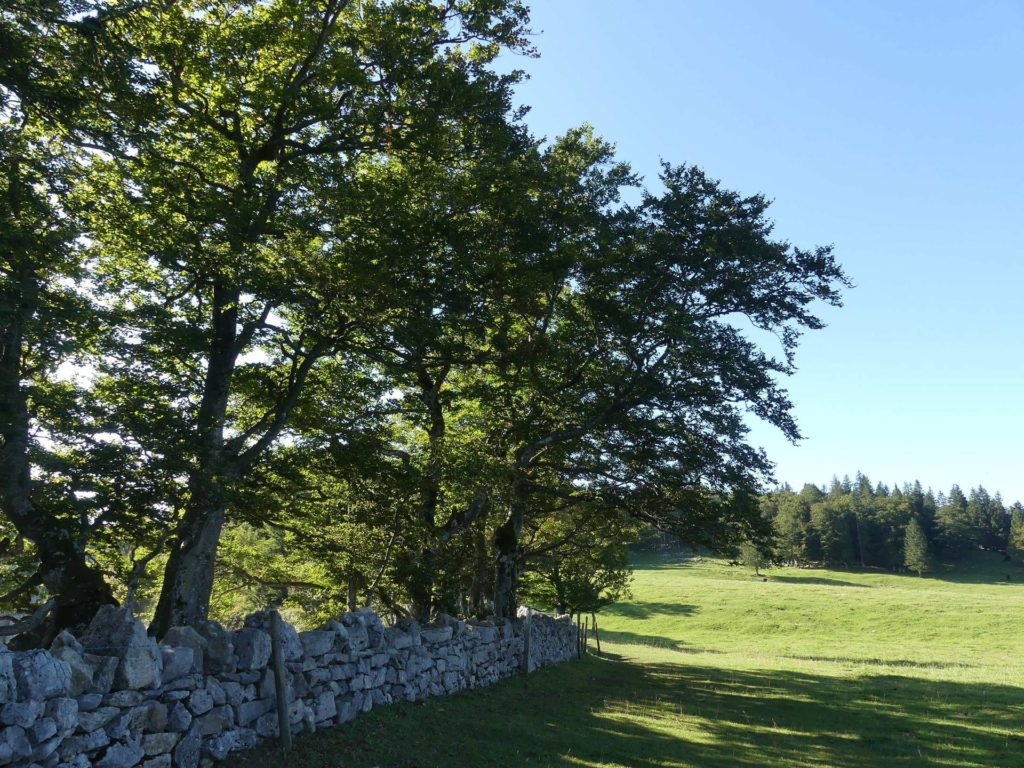 le-soliat-boudry-praz-118