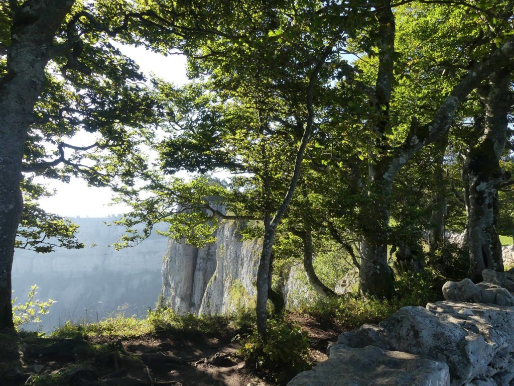 le-soliat-boudry-praz-119