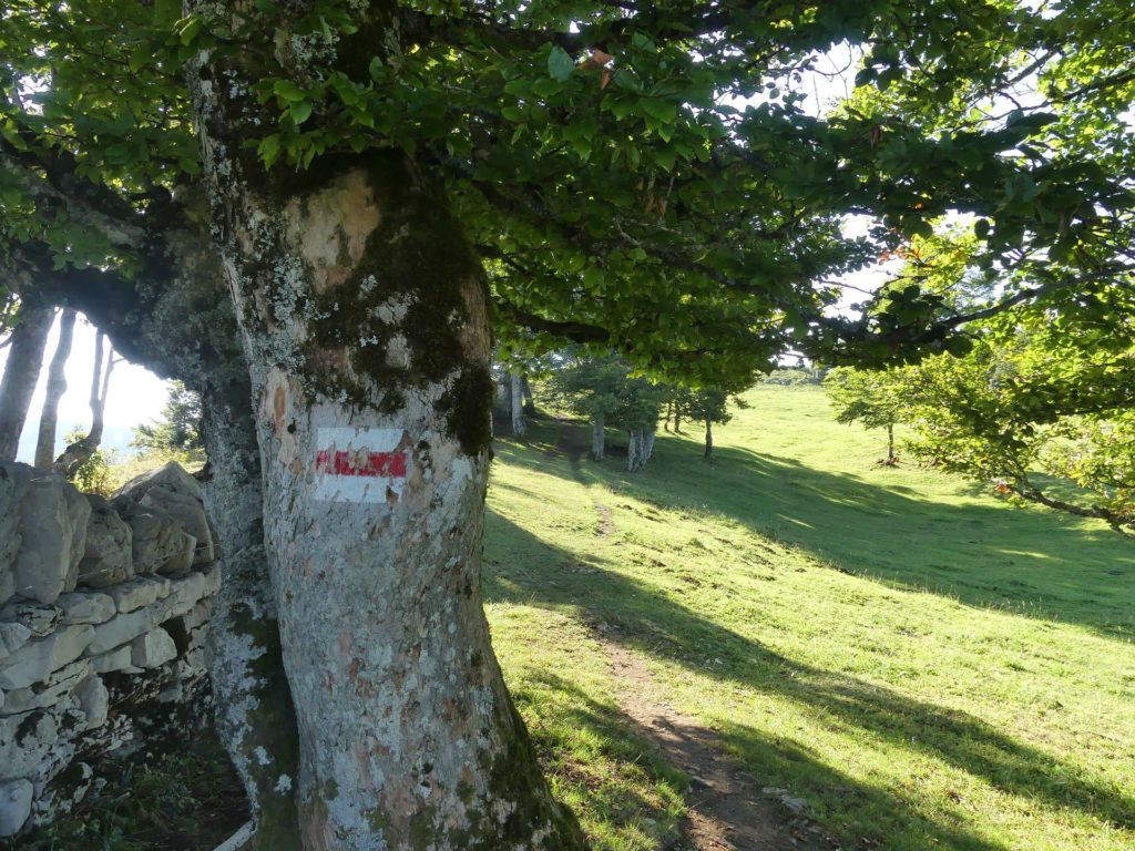 le-soliat-boudry-praz-122