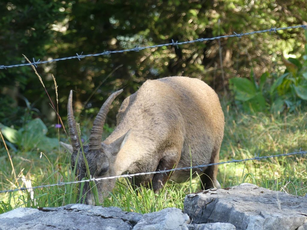 le-soliat-boudry-praz-151