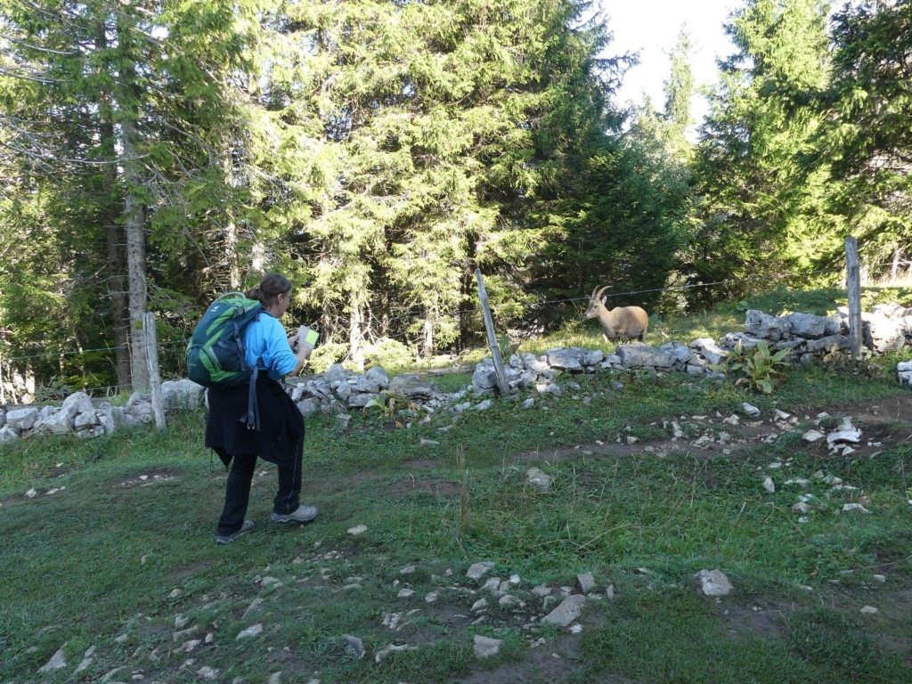 le-soliat-boudry-praz-152