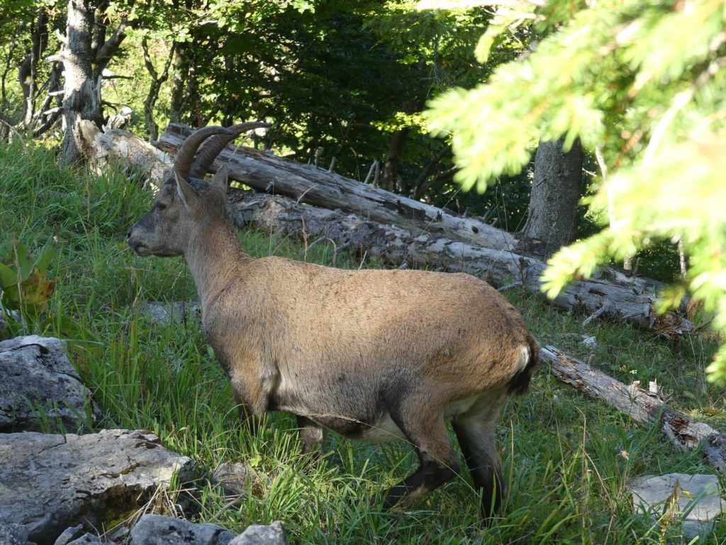 le-soliat-boudry-praz-155