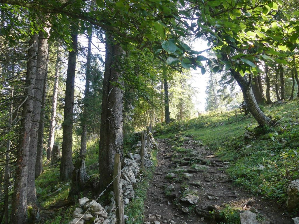 le-soliat-boudry-praz-157