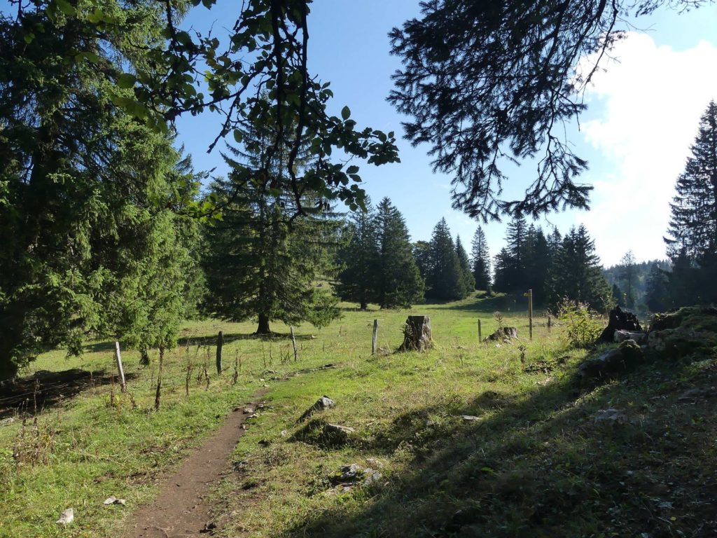 le-soliat-boudry-praz-158