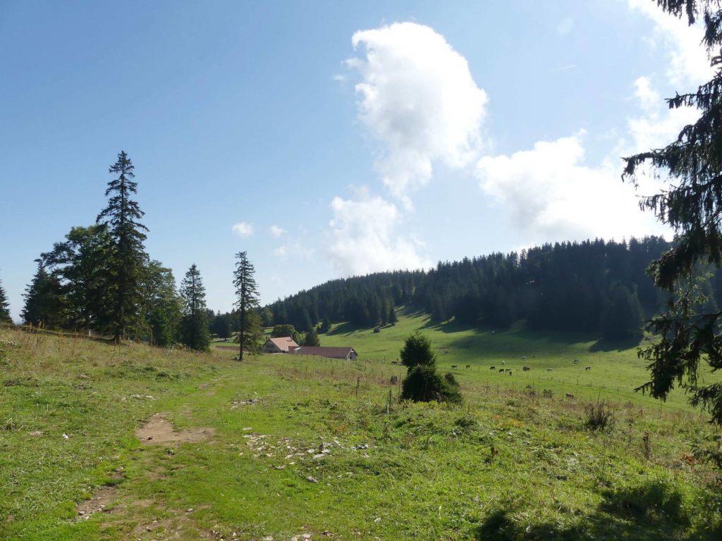 le-soliat-boudry-praz-159