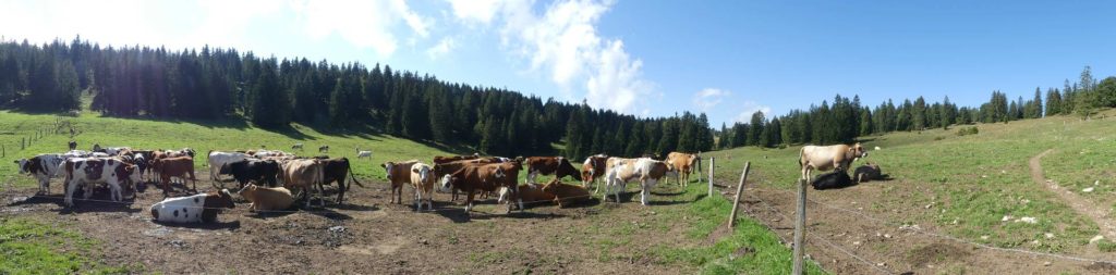 le-soliat-boudry-praz-160