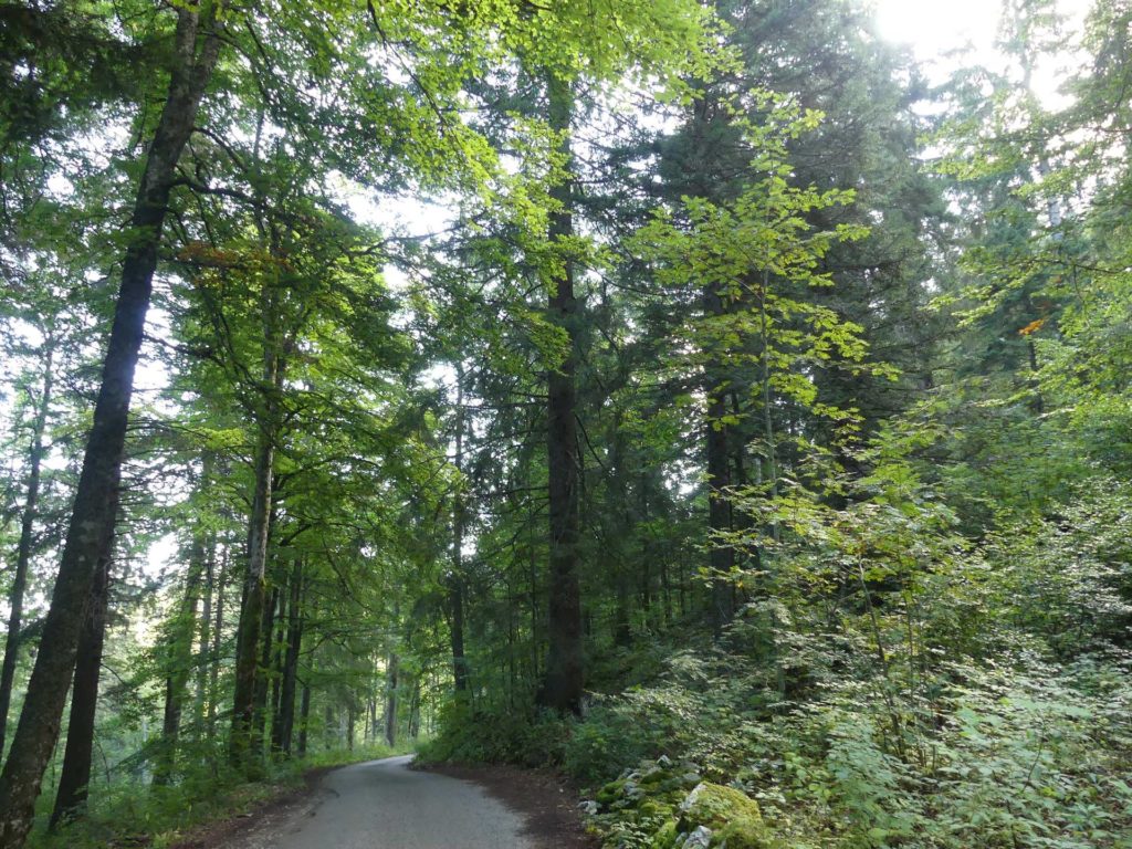 le-soliat-boudry-praz-164