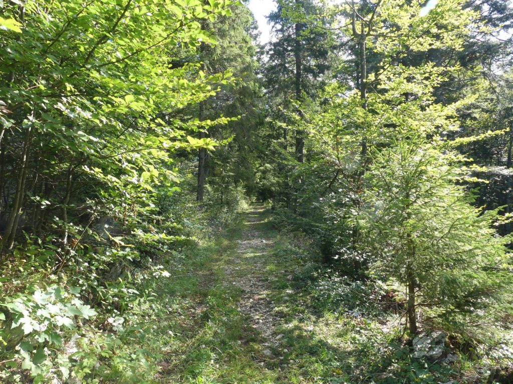 le-soliat-boudry-praz-166