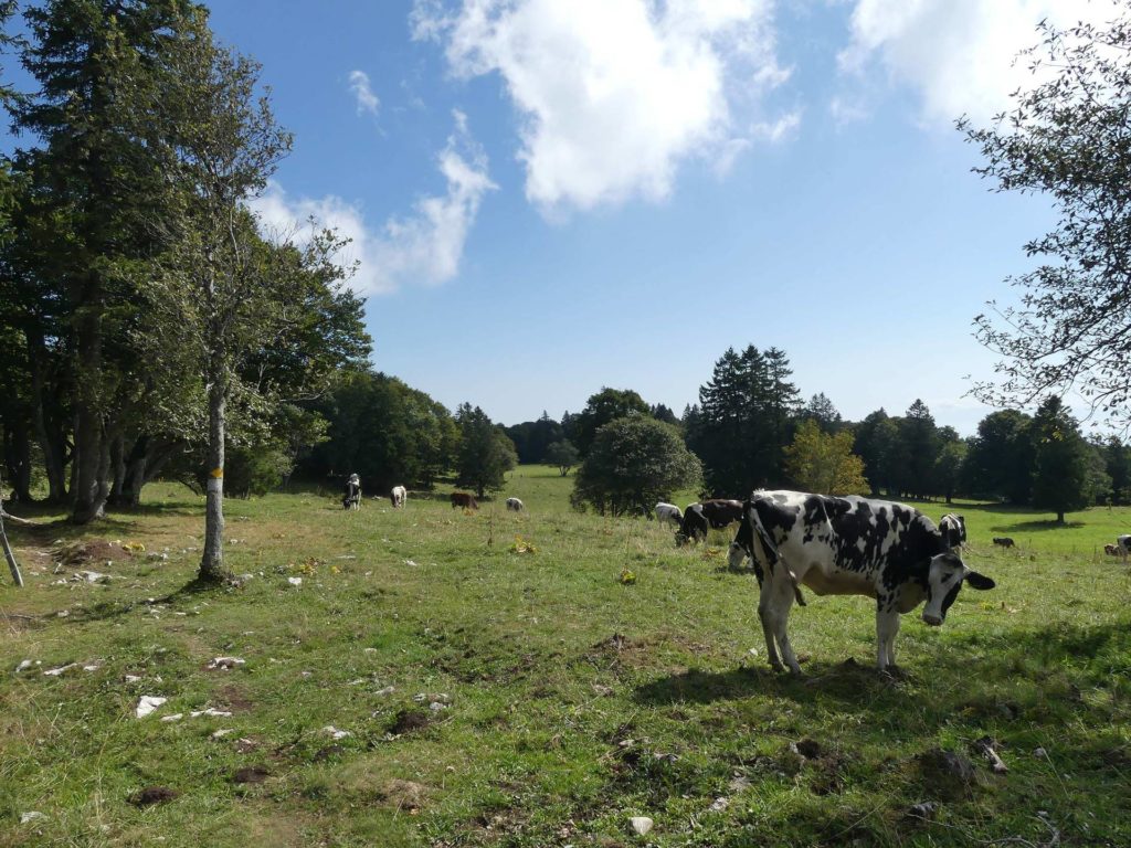 le-soliat-boudry-praz-173