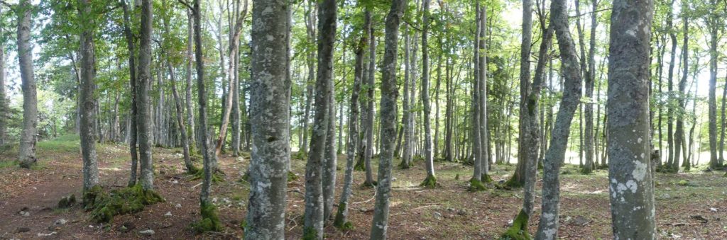 le-soliat-boudry-praz-181