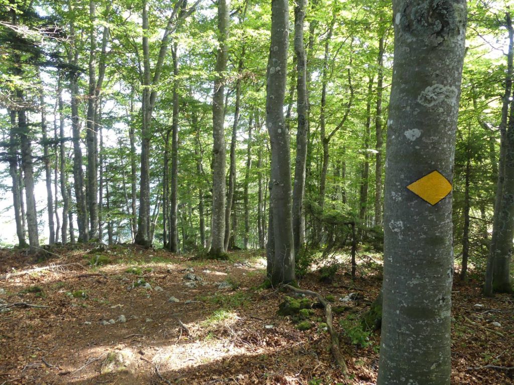 le-soliat-boudry-praz-183