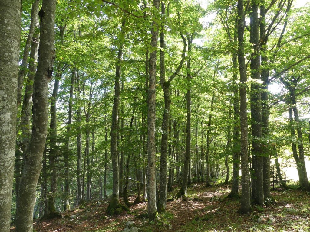le-soliat-boudry-praz-184