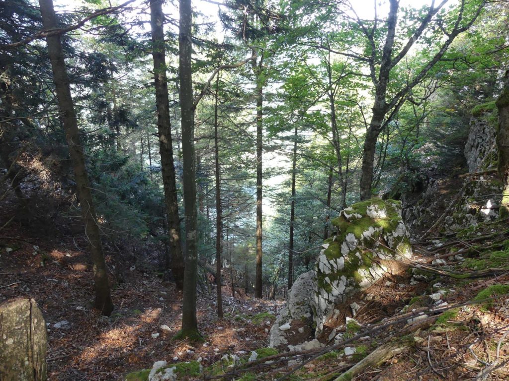 le-soliat-boudry-praz-190