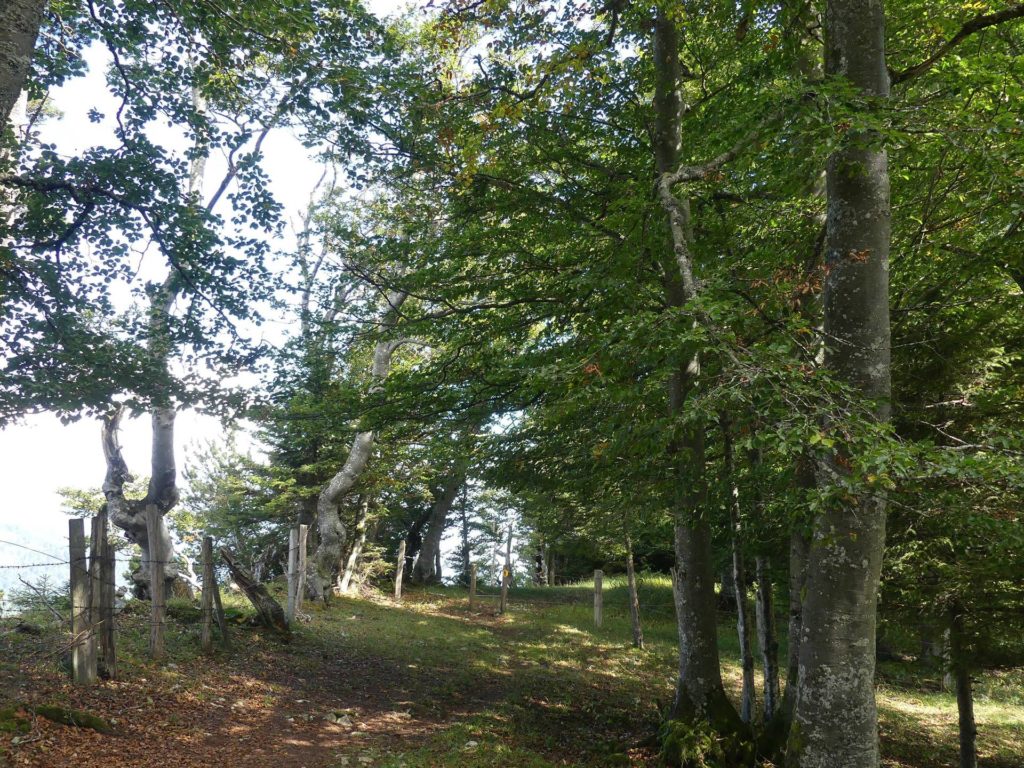 le-soliat-boudry-praz-197