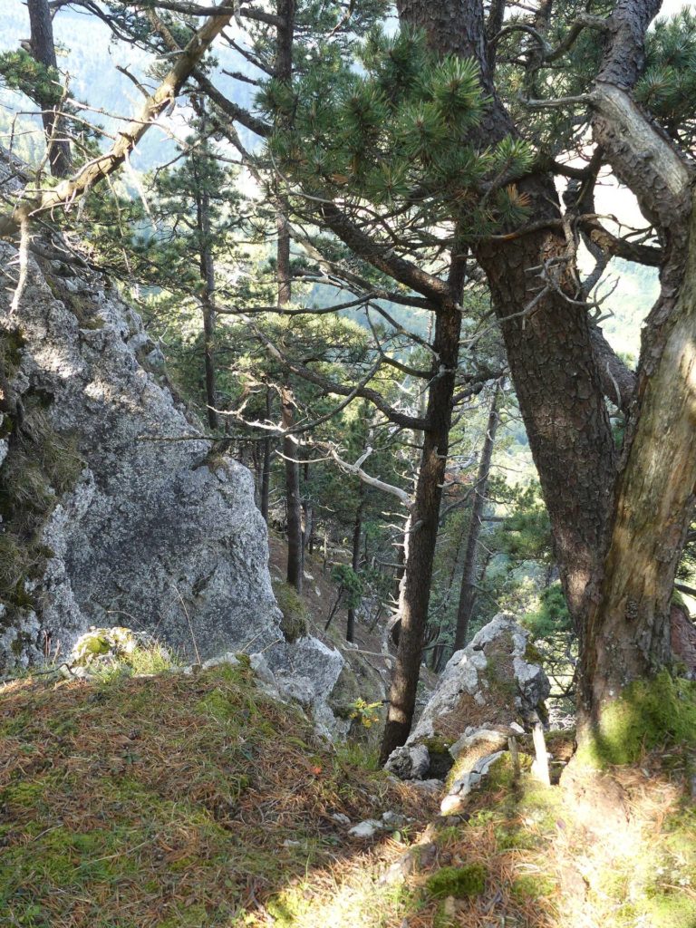 le-soliat-boudry-praz-207