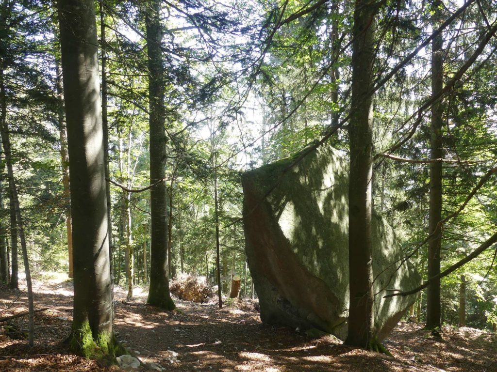 le-soliat-boudry-praz-213