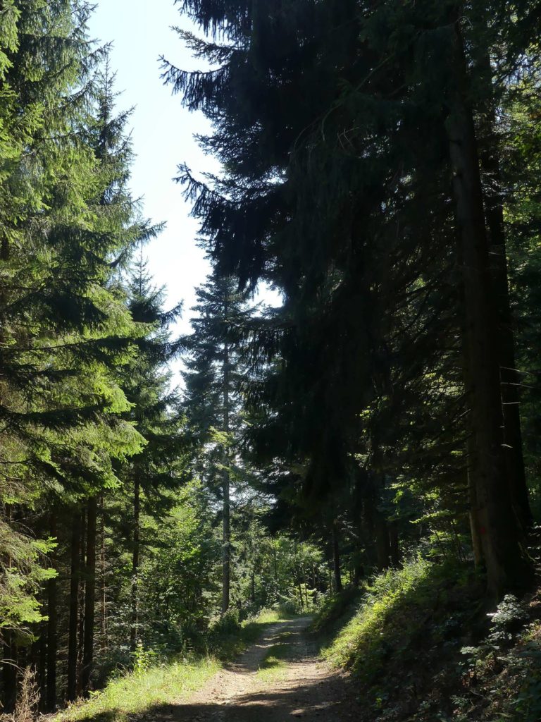 le-soliat-boudry-praz-227